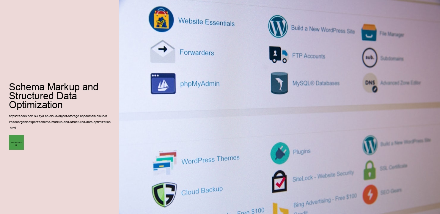 Schema Markup and Structured Data Optimization