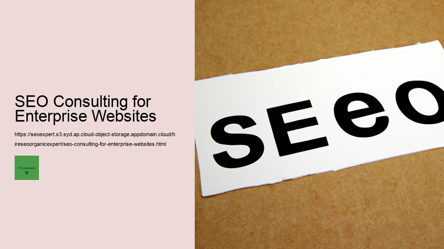 SEO Consulting for Enterprise Websites