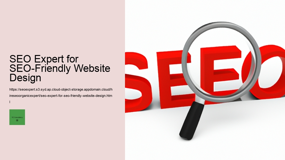 SEO Expert for SEO-Friendly Website Design