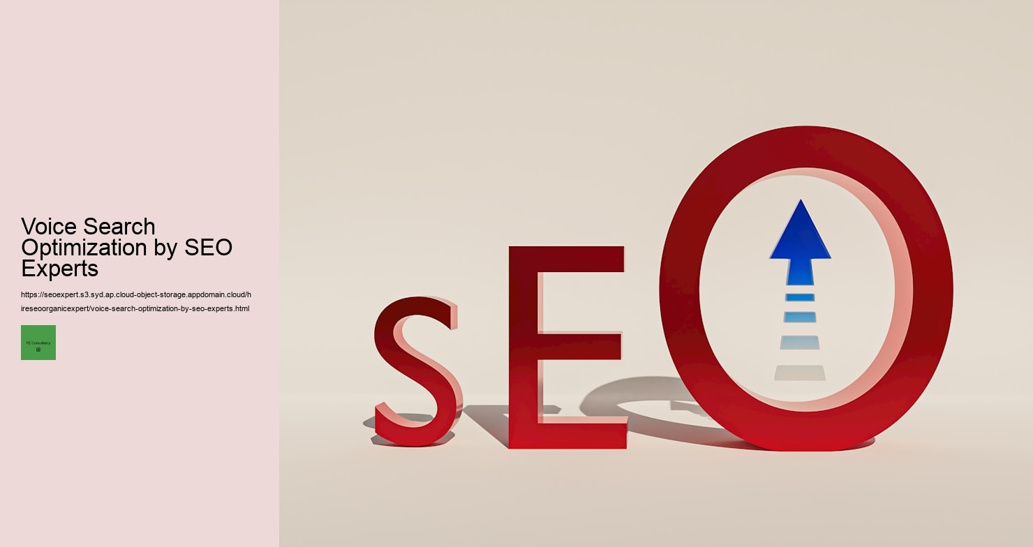 Voice Search Optimization by SEO Experts